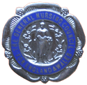 Nursing Council Badge