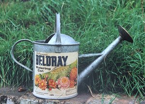 Beldray Watering Can